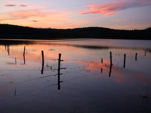 Kako_ si_Stojan Spetič